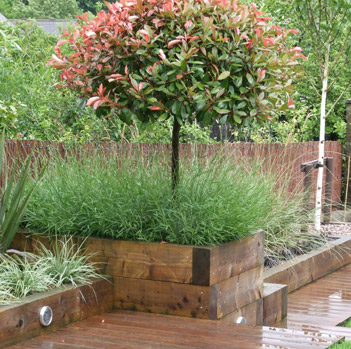 Contact Elysium Landscapes